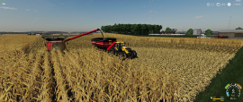 Rolling Hills corn